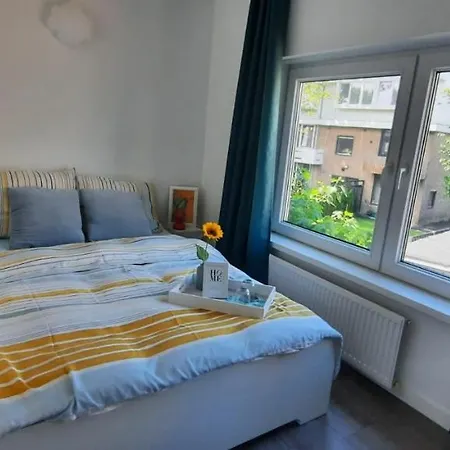 Sunny * Амстердам