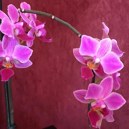 招待所 阳光旅馆