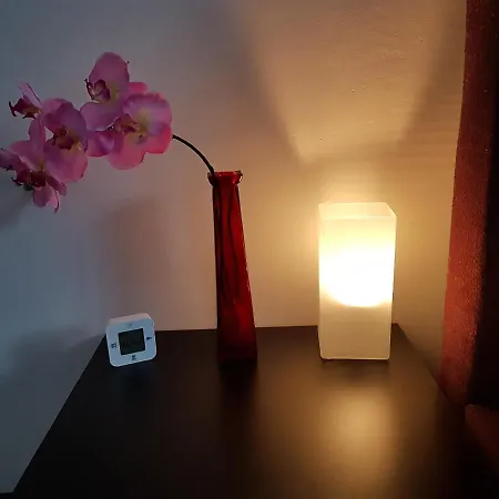 招待所 阳光旅馆