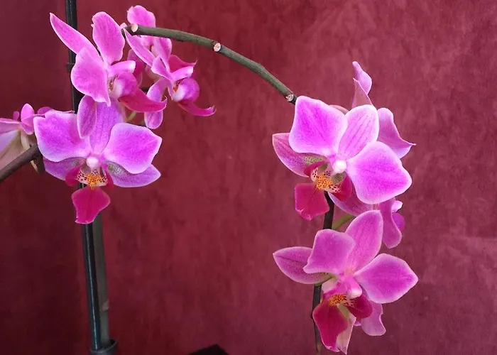 ゲストハウス Sunny