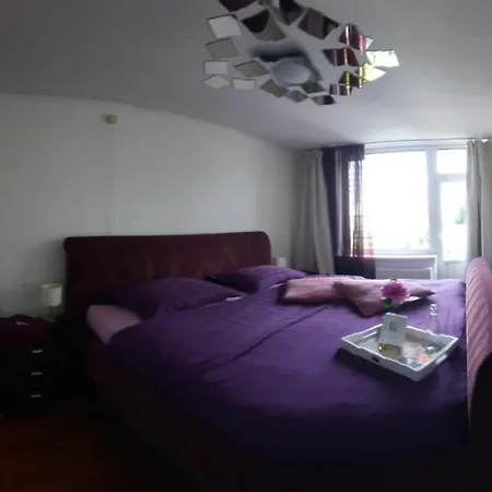 Sunny בית הארחה