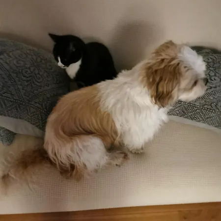 Sunny * אמסטרדם